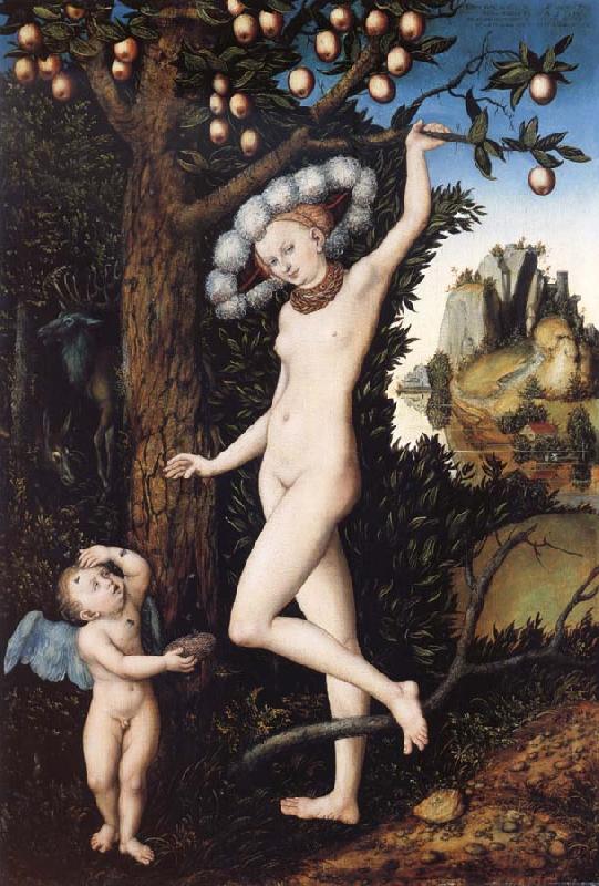CRANACH, Lucas the Elder Venus and Cupid oil painting image